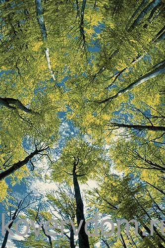 Детский ковер Кристэл С027